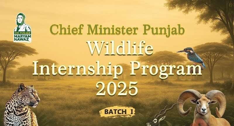 CM Wildlife Internship Program 2025