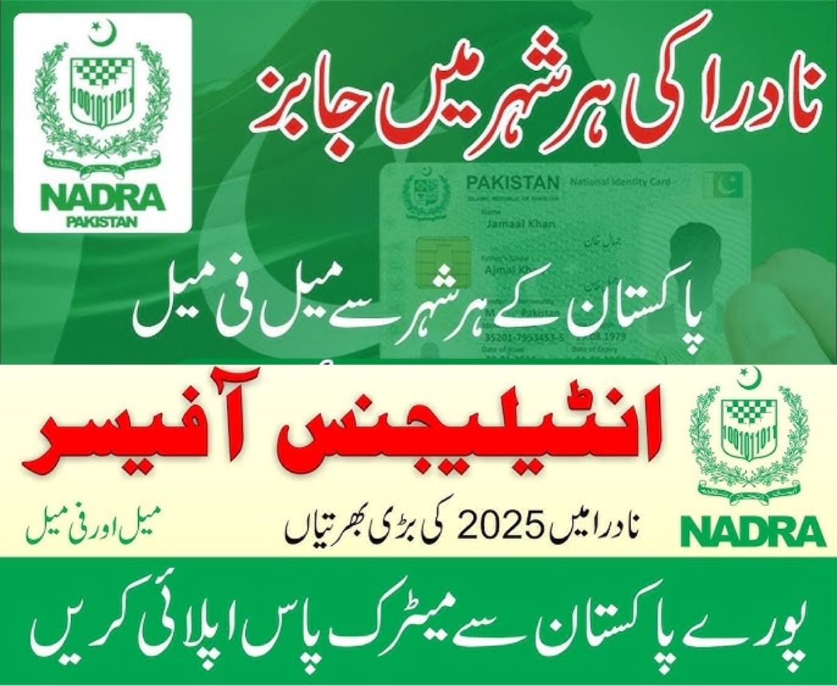 NADRA Jobs for Intelligence Officer 2025 - Apply Online
